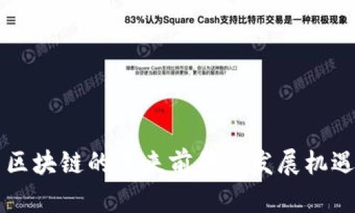 中国区块链的未来前景与发展机遇分析