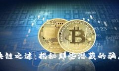 揭开区块链之迷：揭秘那些潜藏的骗局与陷阱