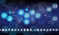 中国区块链开源项目全景解析：从技术到应用的
