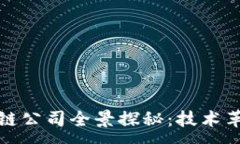 :新春油田区块链公司全景探秘：技术革新与未来
