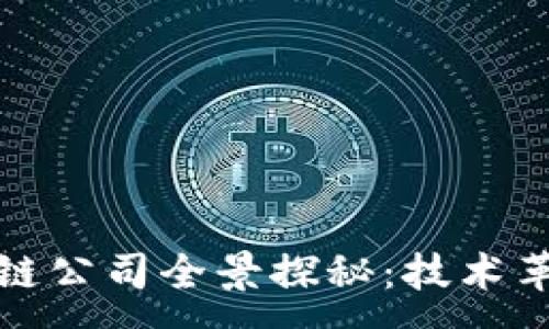 :
新春油田区块链公司全景探秘：技术革新与未来机遇