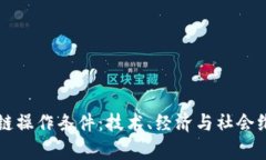 深入探讨区块链操作条件：技术、经济与社会维