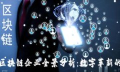   乌镇区块链企业全景分析：数字革新的沃土