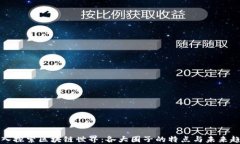 深入探索区块链世界：各大圈子的特点与未来趋