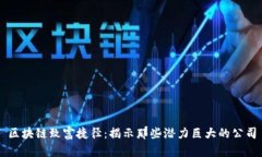 区块链致富捷径：揭示那些潜力巨大的公司