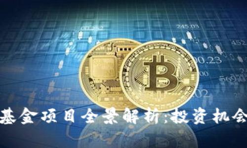 娄底区块链基金项目全景解析：投资机会与市场前景