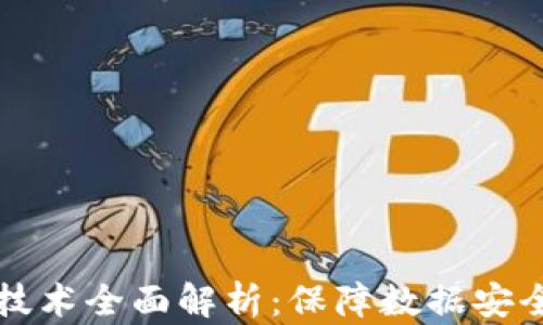 
区块链安全技术全面解析：保障数据安全的未来之路
