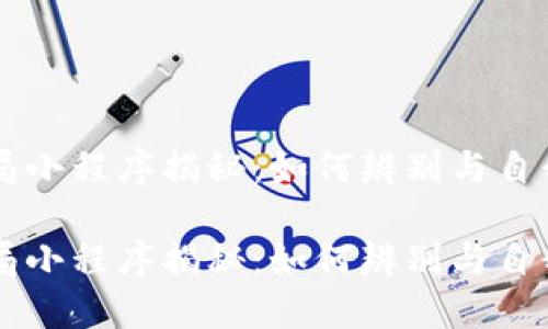 区块链骗局小程序揭秘：如何辨别与自我保护指南

区块链骗局小程序揭秘：如何辨别与自我保护指南