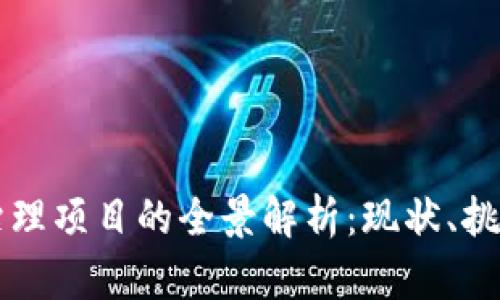 区块链治理项目的全景解析：现状、挑战与未来
