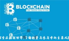   探索区块链世界：了解投资与参与中的主要风险