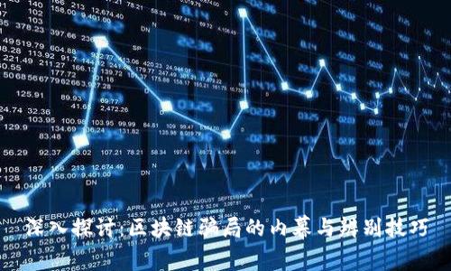 深入探讨：区块链骗局的内幕与辨别技巧