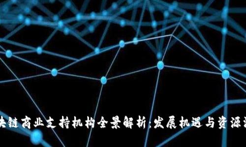 区块链商业支持机构全景解析：发展机遇与资源汇聚