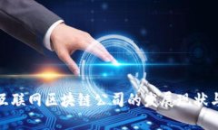 探索龙南互联网区块链公司的发展现状与未来趋
