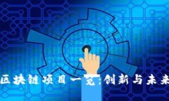 全国首例区块链项目一览：创新与未来的引领者