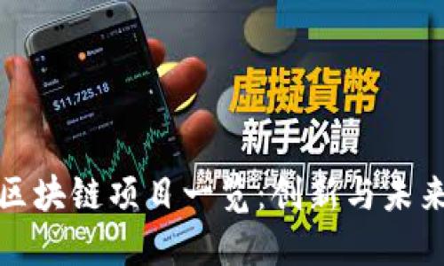 全国首例区块链项目一览：创新与未来的引领者