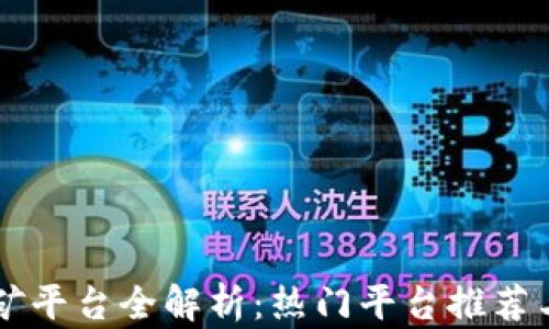 
区块链挖矿平台全解析：热门平台推荐与选择指南