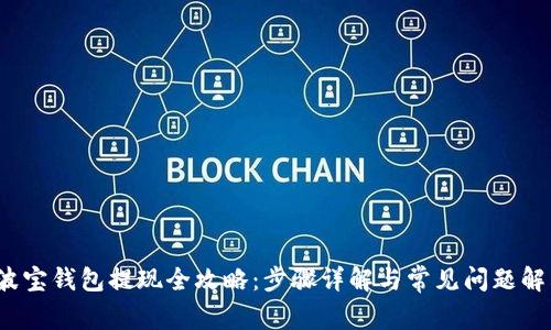  波宝钱包提现全攻略：步骤详解与常见问题解答