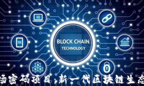 
探索波场密码项目：新一代区块链生态的崛起