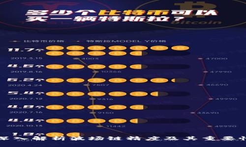 深入解析波场链精度及其重要性