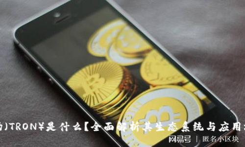 波场（TRON）是什么？全面解析其生态系统与应用场景