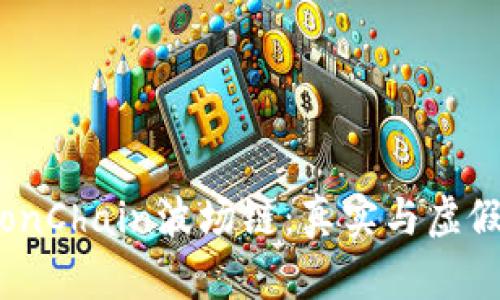 探秘TronChain波场链：真实与虚假的边界