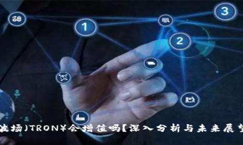 波场（TRON）会增值吗？深入分析与未来展望