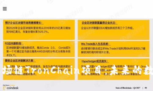 深入探讨波场链TronChain项目：未来的数字经济新星