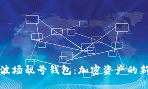 探索波场靓号钱包：加密资产的新未来