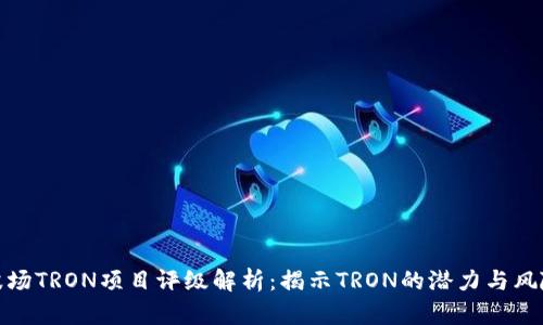 波场TRON项目评级解析：揭示TRON的潜力与风险