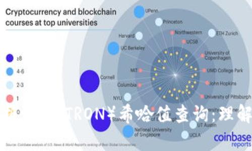 全面解析波场（TRON）希哈值查询：理解与实践