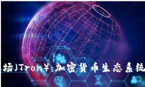 深入了解波场（Tron）：加密货币生态系统的未来之星